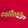 Collinea