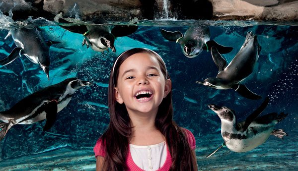 Itinerari divertimento Cattolica