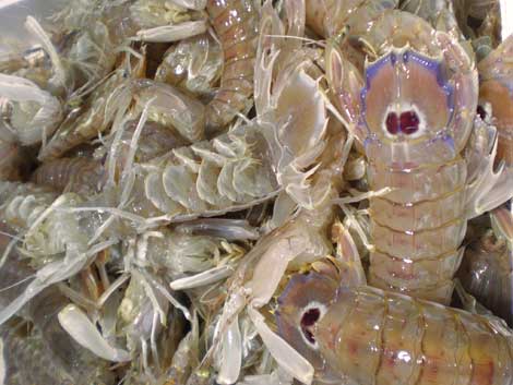 Piatti tipici di Cattolica