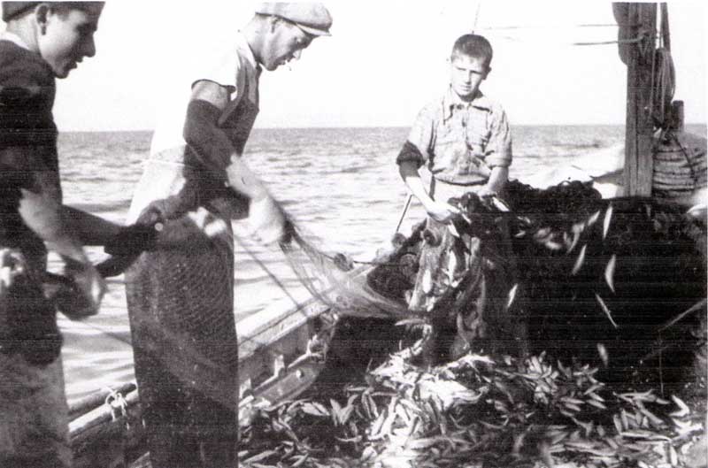 La dura vita del murè