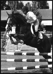 Sport nei dintorni di Cattolica