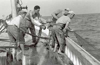 St’è tutt vrucéd, cus t’è i gajun?